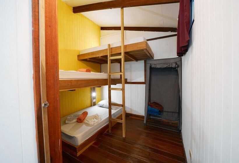 Playa 506 Beachfront Hostel