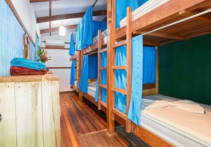 Playa 506 Beachfront Hostel