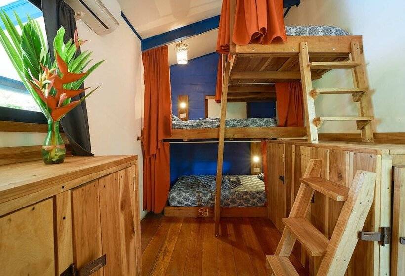 Playa 506 Beachfront Hostel