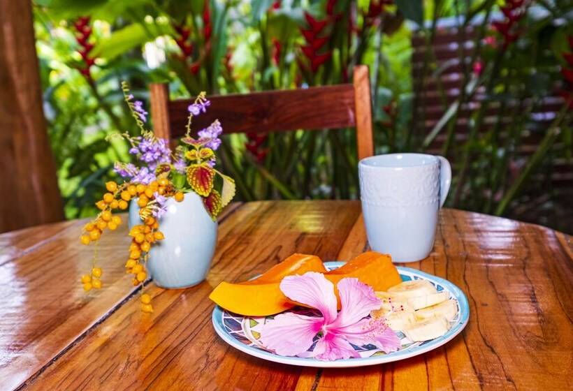 אתר נופש El Nido Jungle Lodge