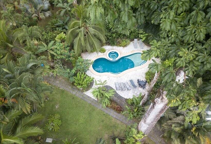 אתר נופש El Nido Jungle Lodge