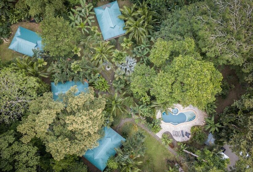 אתר נופש El Nido Jungle Lodge
