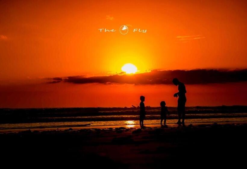 استراحتگاه Funky Monkey Lodge