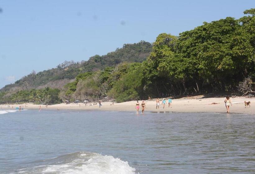 استراحتگاه Funky Monkey Lodge