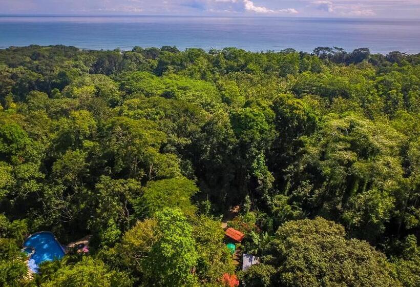 The Goddess Garden Eco Resort