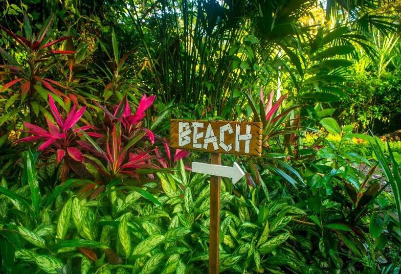 The Goddess Garden Eco Resort