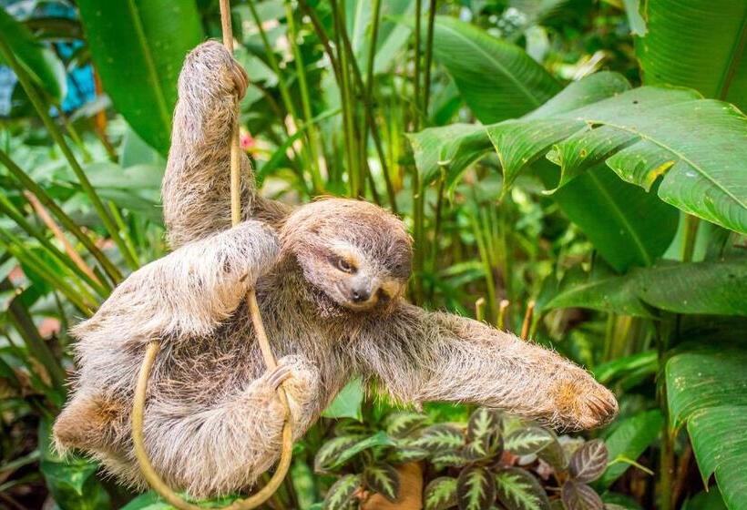 The Goddess Garden Eco Resort