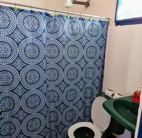 住宿加早餐  Cabinas Tortuguero Natural