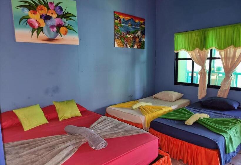 住宿加早餐  Cabinas Tortuguero Natural