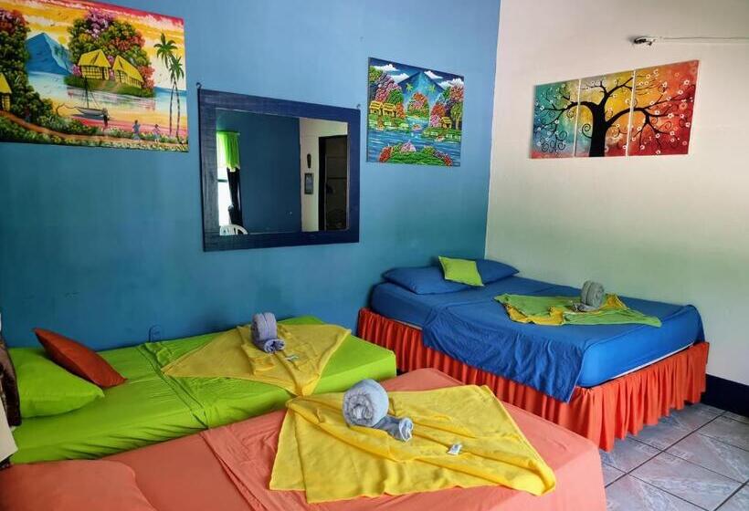 住宿加早餐  Cabinas Tortuguero Natural