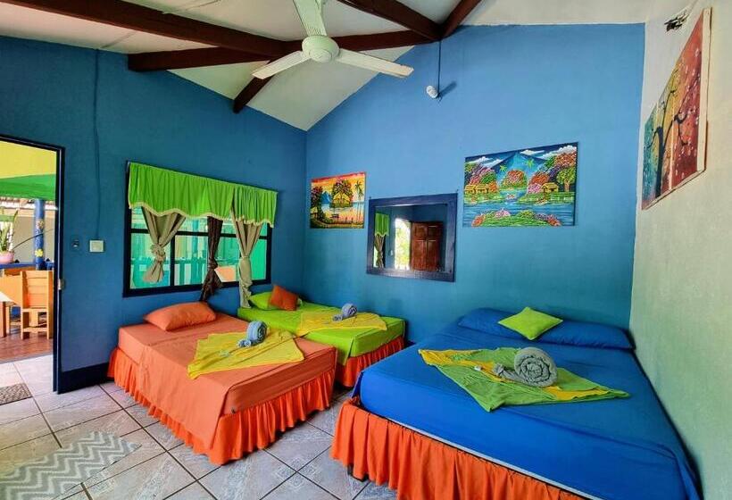 住宿加早餐  Cabinas Tortuguero Natural