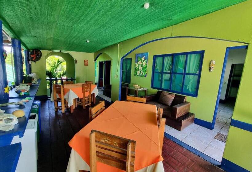 住宿加早餐  Cabinas Tortuguero Natural