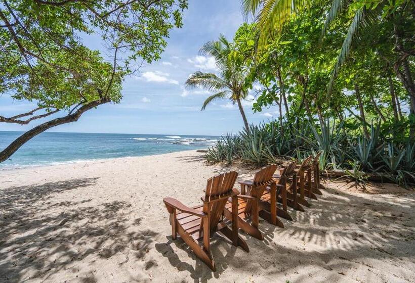 Bed and Breakfast Sueno Del Mar Beachfront