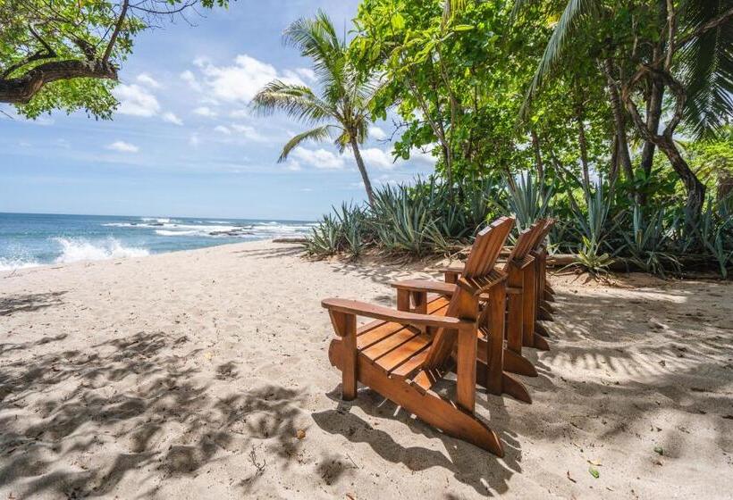 Bed and Breakfast Sueno Del Mar Beachfront