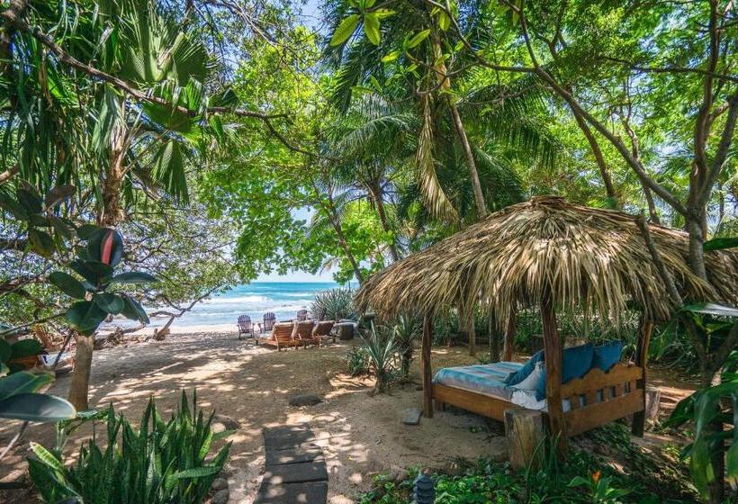 Bed and Breakfast Sueno Del Mar Beachfront