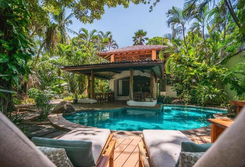 Bed and Breakfast Sueno Del Mar Beachfront