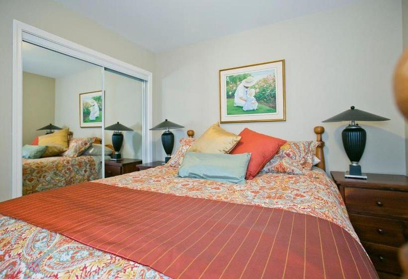 酒店 Alma Beach Manor