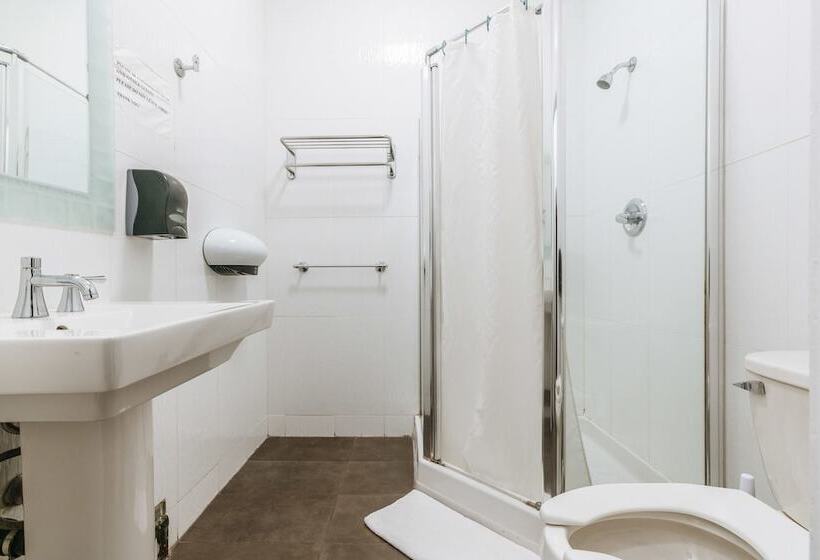 酒店 Ambassador Hostel