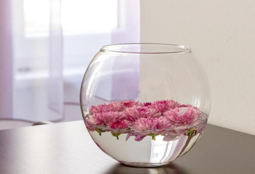 호텔 Apartments Aspalathos