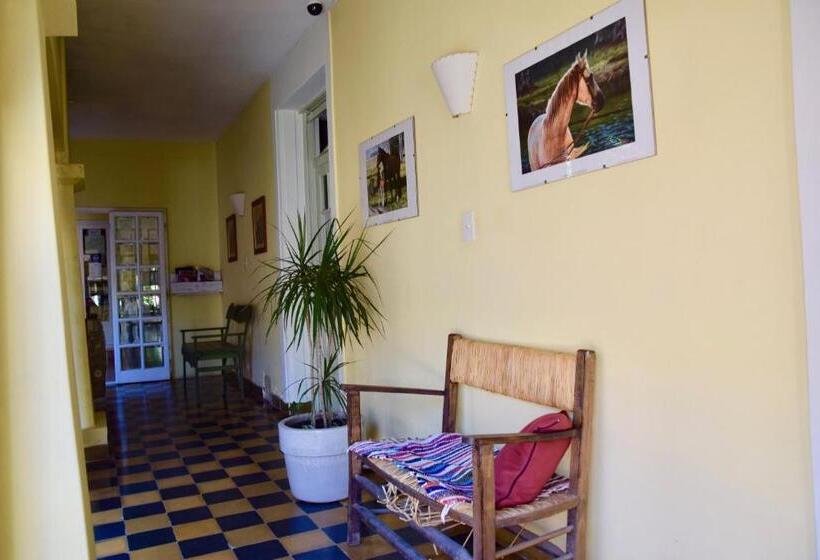 호텔 Areco Hospedaje