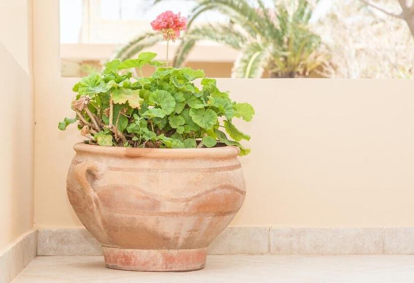 호텔 Argo Apartments