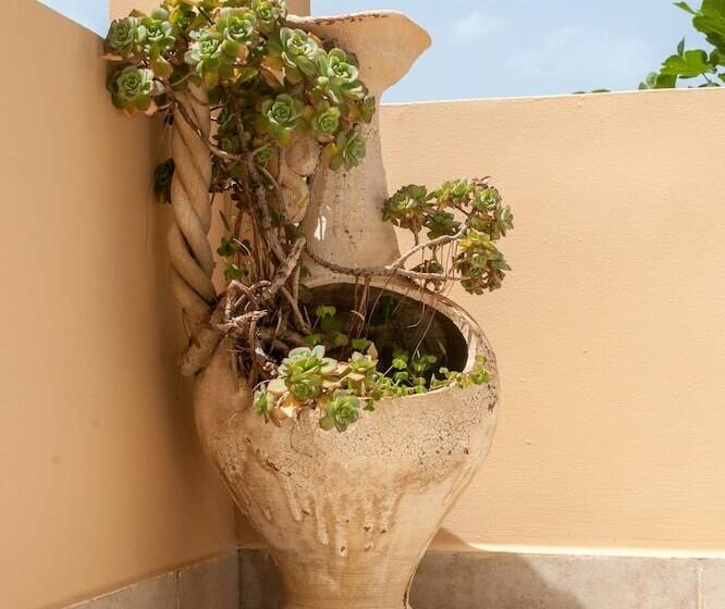 호텔 Argo Apartments