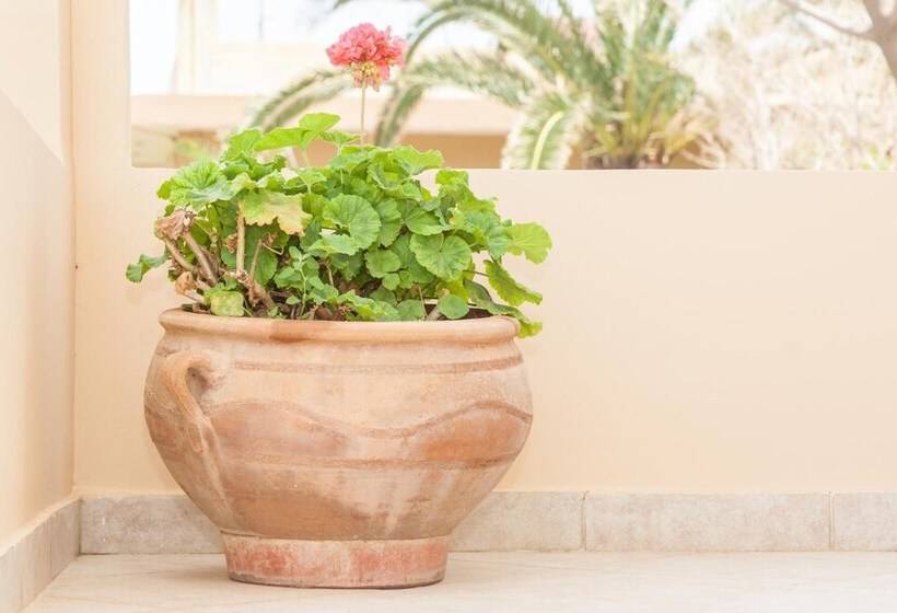 호텔 Argo Apartments