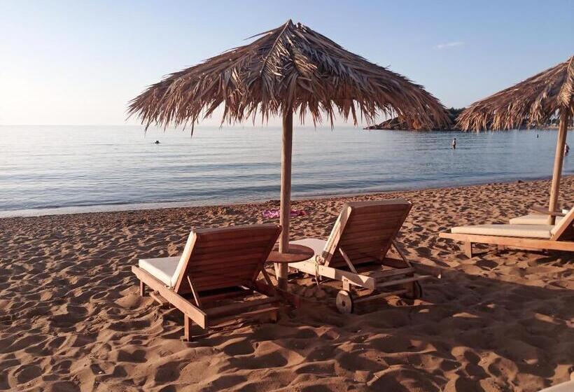 호텔 Argo Apartments