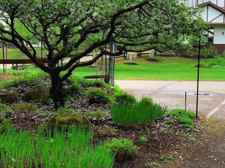 ホテル Auberge Le Lupin Self Check In