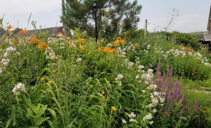 בית מלון כפרי Auberge Le P Tit Bonheur   Hostel