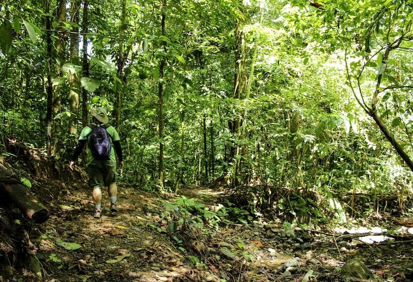 בית מלון כפרי Banana Bay Marina
