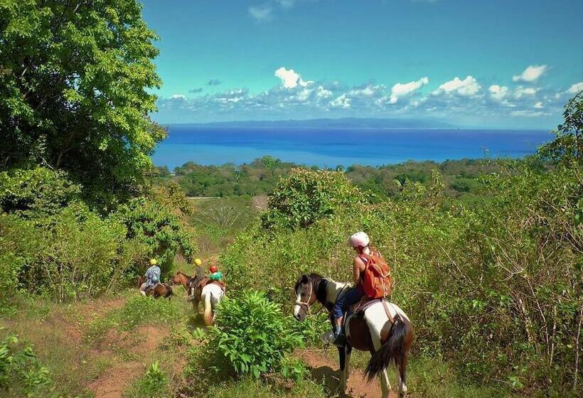 בית מלון כפרי Banana Bay Marina