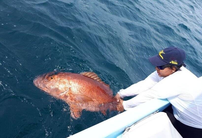 בית מלון כפרי Banana Bay Marina