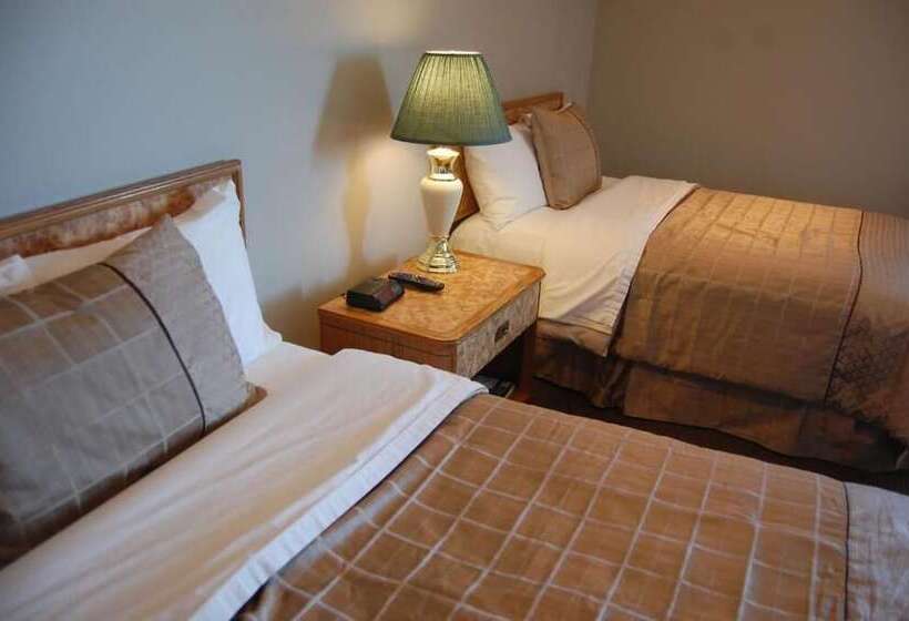 酒店 Barons Motor Inn