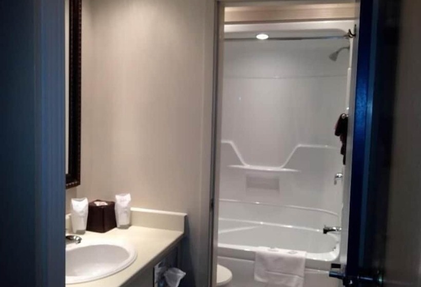 酒店 Barons Motor Inn