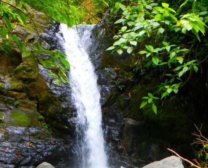 فندق Big Bamboo De Uvita