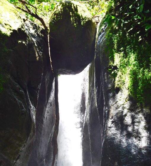 فندق Big Bamboo De Uvita