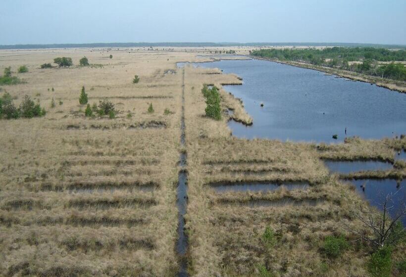Hotel Bitter En Zoet
