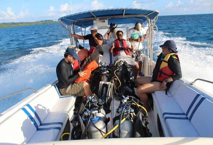 בית מלון כפרי Blue Almond Hostel San Andres