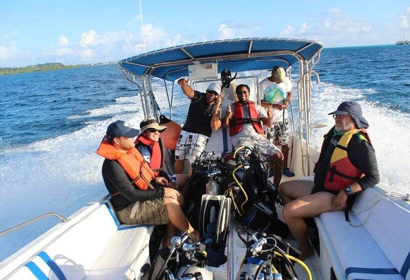 בית מלון כפרי Blue Almond Hostel San Andres