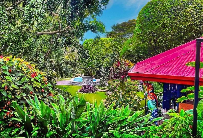 בית מלון כפרי Boquete Garden Inn