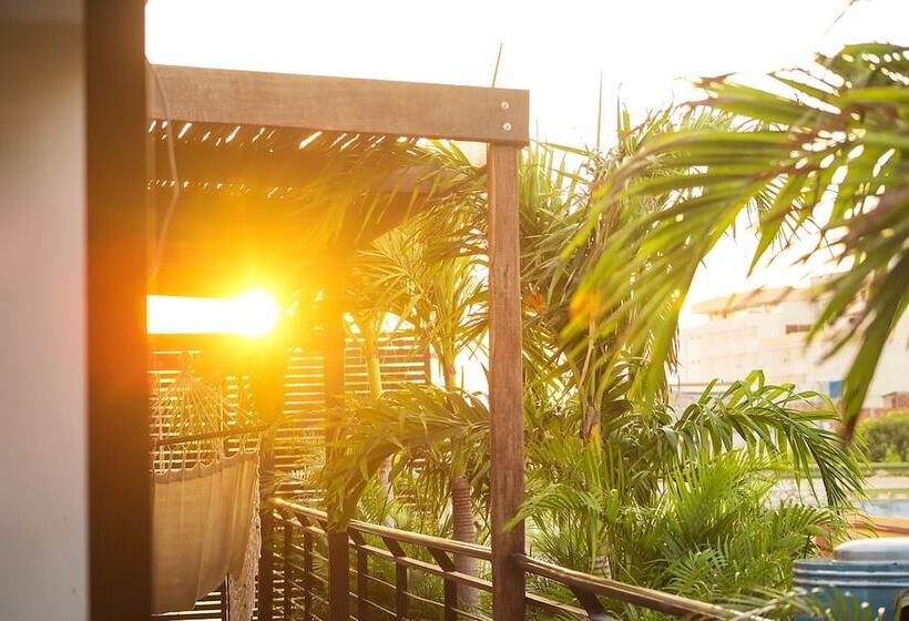 בית מלון כפרי Boutique Casa Carolina