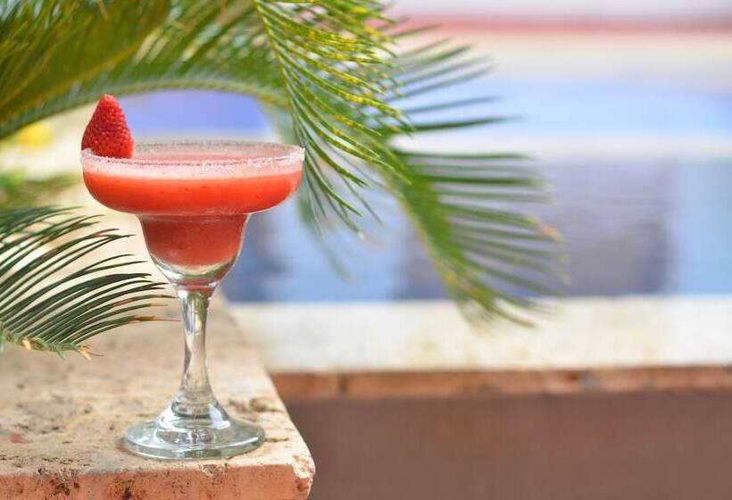 בית מלון כפרי Boutique Casa Carolina