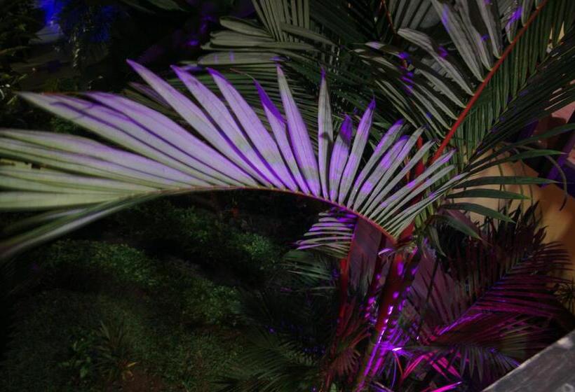 ホテル Boutique La Casa De Las Flores