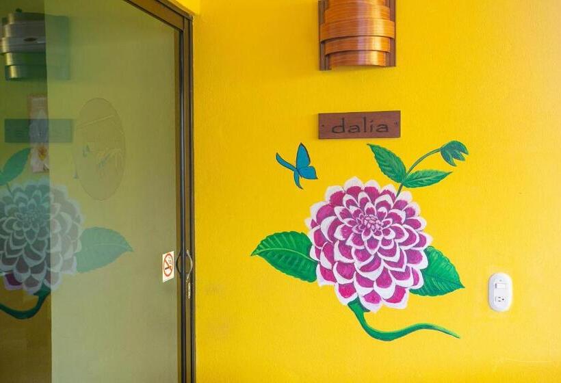 ホテル Boutique La Casa De Las Flores