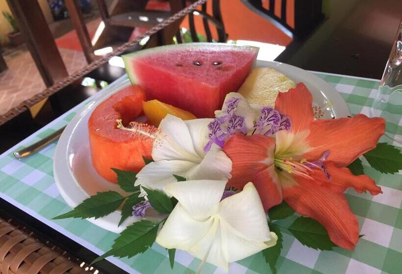 בית מלון כפרי Boutique La Casa De Las Flores