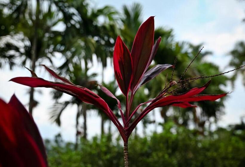 Отель Boutique Villas De San Sebastián