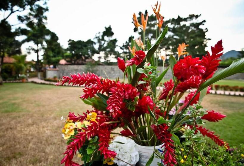 Отель Boutique Villas De San Sebastián