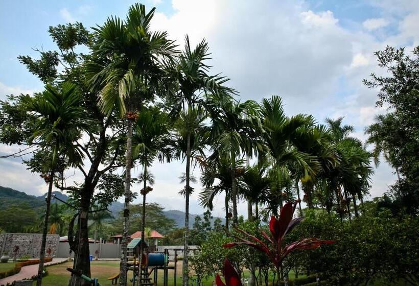 Отель Boutique Villas De San Sebastián