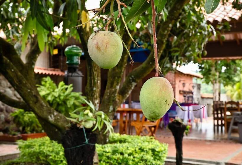 Отель Boutique Villas De San Sebastián